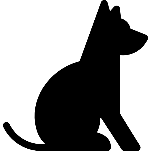 Beslenen Sokak Hayvanı
